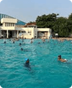 Competitive Training Camps
