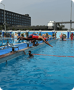 Summer Camps